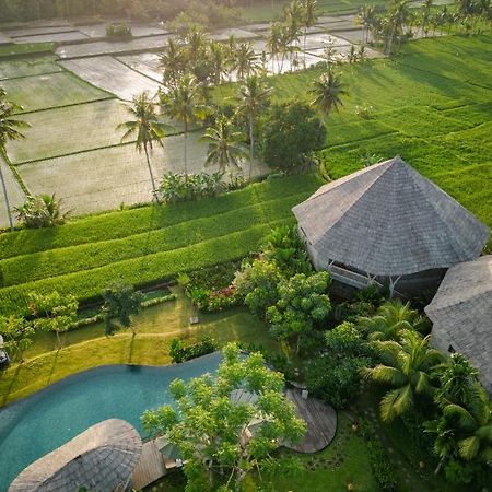 Thewakanda Resort A Pramana Experience Убуд Экстерьер фото