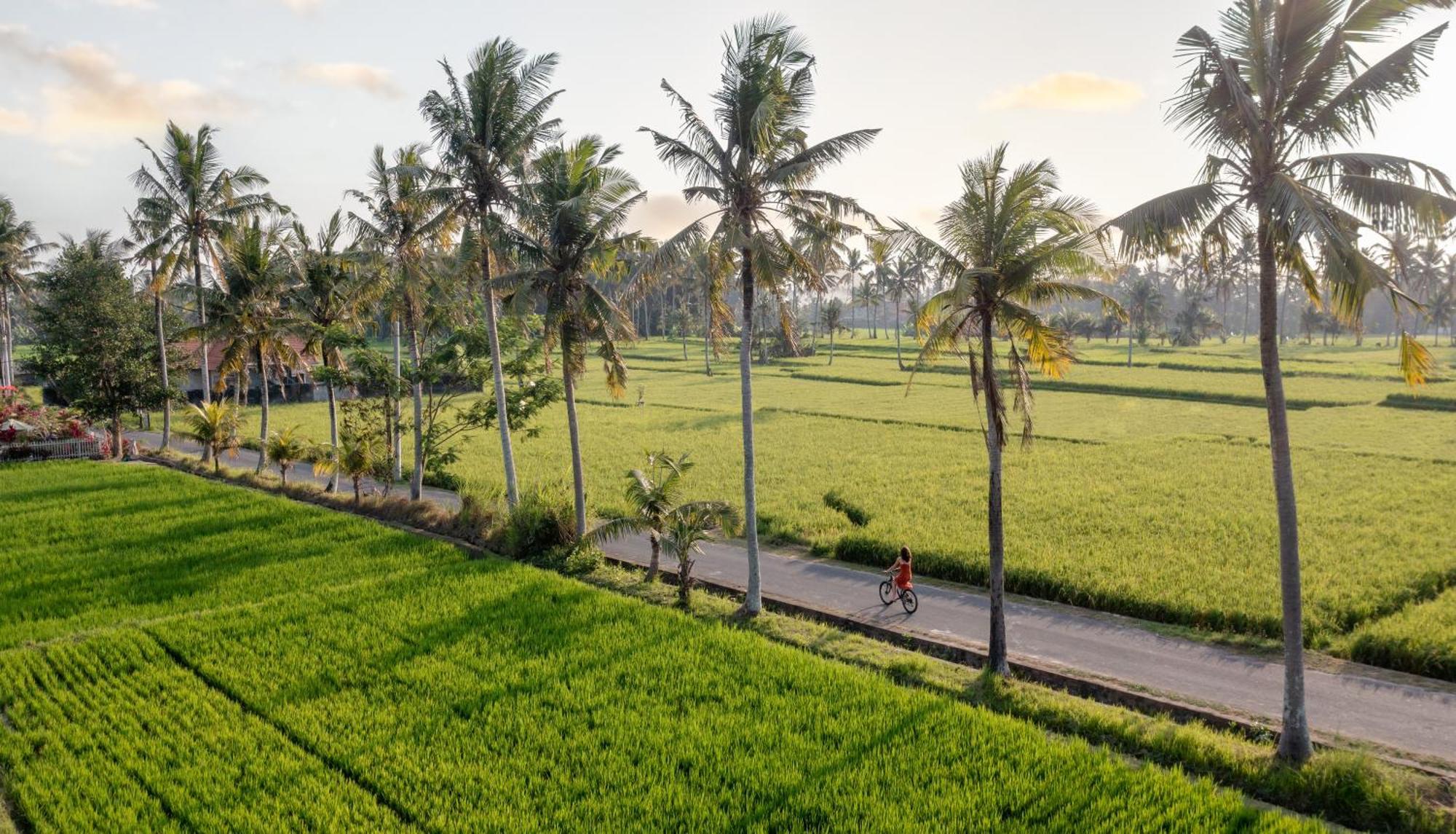 Thewakanda Resort A Pramana Experience Убуд Экстерьер фото