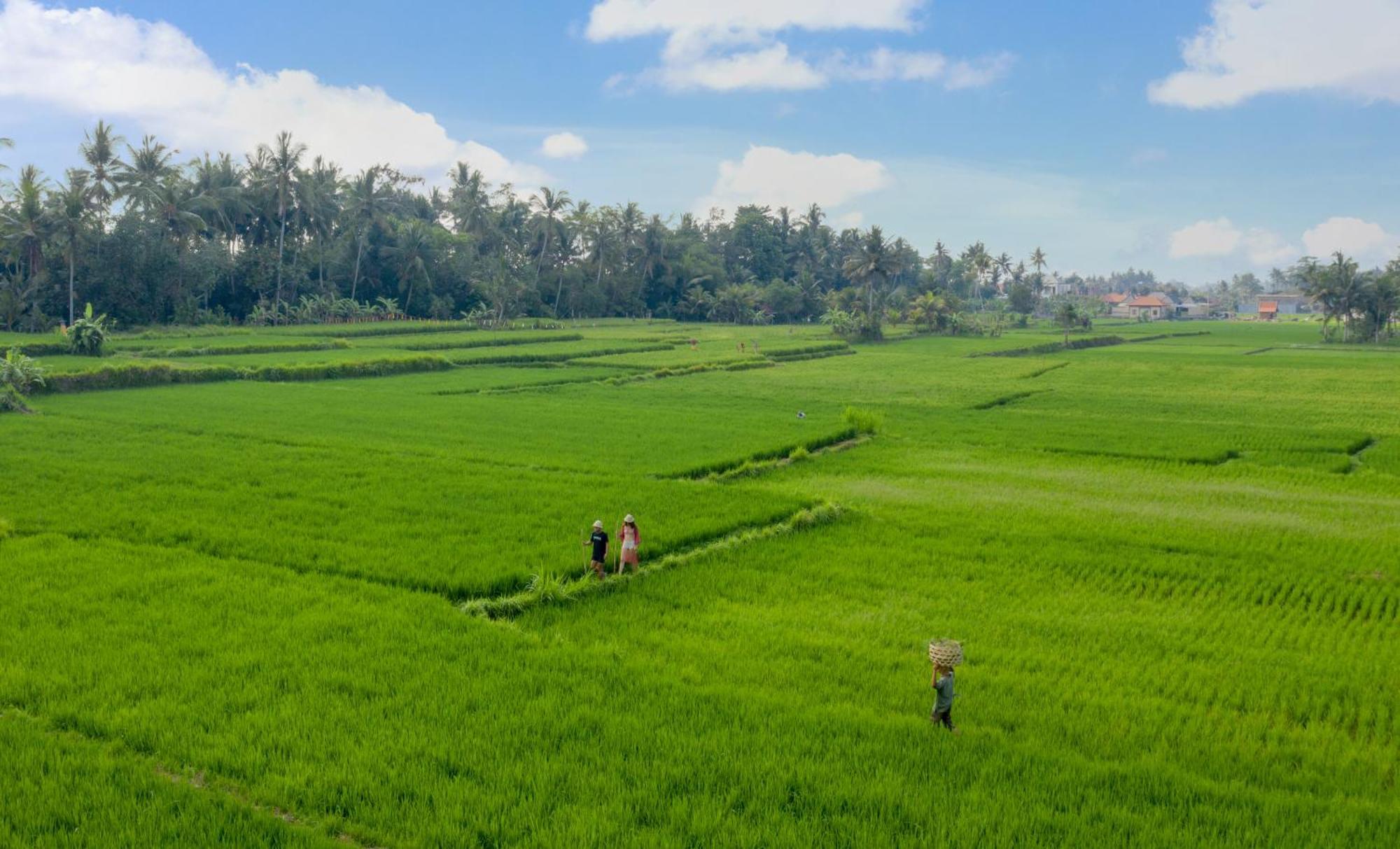 Thewakanda Resort A Pramana Experience Убуд Экстерьер фото